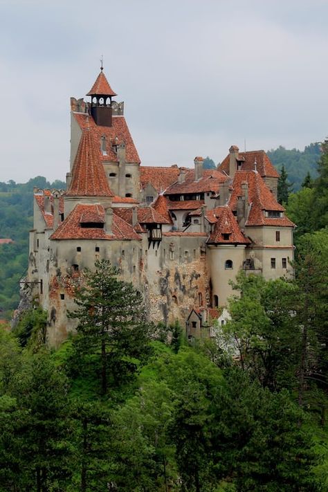 Transylvania Castle Dracula, Transylvania Castle, Romanian Castles, Dracula's Castle, Bran Castle, Peles Castle, Nice Trip, Dracula Castle, Culture Day