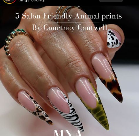 Long Almond Autumn Nails, September Stiletto Nails, Almond Nails Designs Cheetah, Eccentric Nail Designs, Vacation Birthday Nails, Animal Print Almond Nails, Almond Nails Designs Black Women, Long Almond Nails Designs Fall, Cheetah Print Stiletto Nails