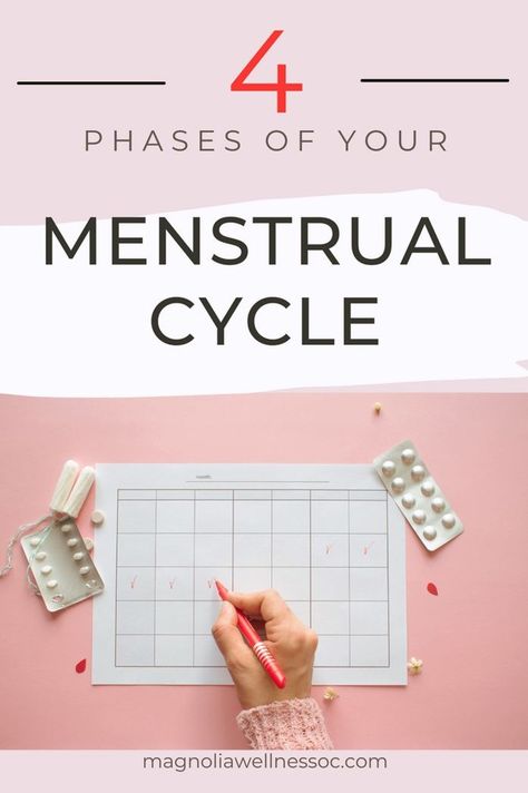 Are you looking to gain a better understanding of your menstrual cycle? Or wondering what herbs can help relieve the problems with your monthly period? From the phases of your monthly cycle to helpful tips and herbs, it’s time to take control of your body by understanding your menstrual cycle. Learn more from this post to start tracking your menstrual cycle in a way that works best for you. Cycle Phases Menstrual, Period Phases Menstrual Cycle, Period Cycle Phases, Phases Of Menstrual Cycle, Menstrual Phases, Track Your Cycle, Period Tracking, Cycle Phases, Menstrual Cycle Phases