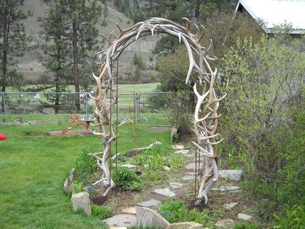 antler arches | Elk Antler Garden Arch | Wedding Planning---- Lacey could add your flowers into it.... Antler Themed Wedding, Camoflauge Wedding, Antler Wedding Decor, Camo Wedding Ideas, Decorating With Antlers, Antler Projects, Deer Antler Crafts, Antler Ideas, Camouflage Wedding