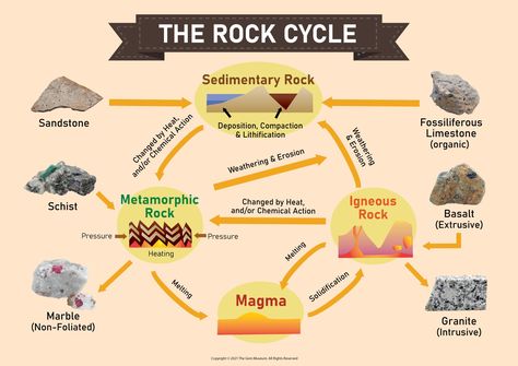 Rock Cycle Diagram, Weathering And Erosion, Rock Cycle, Sedimentary Rocks, Metamorphic Rocks, Flow Chart, Marble Granite, Geology, School Work