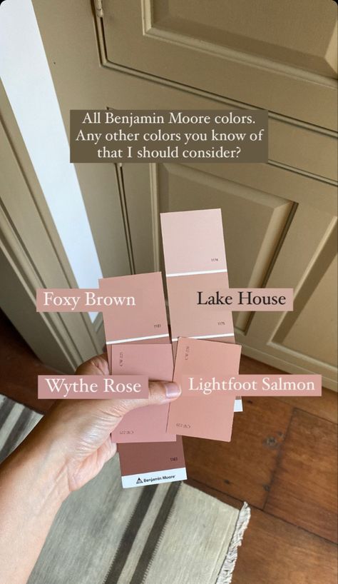 Sw Smoky Salmon, Rose Paint Colors Benjamin Moore, Benjamin Moore Peachy Pink, Bm Rose Bisque, Custis Salmon Benjamin Moore, Benjamin Moore Cherry Malt, Peach Blossom Sherwin Williams, Salmon Paint Color, Beer Painting