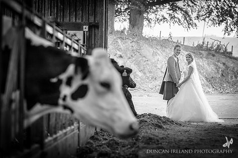 Farm Wedding Photography Ideas, Farm Wedding Picture Ideas, Wedding Photos Farm, Dairy Wedding, Farming Wedding, Farm Wedding Dress, Dairy Farm Wedding, Farm Wedding Ideas, Dairy Farming