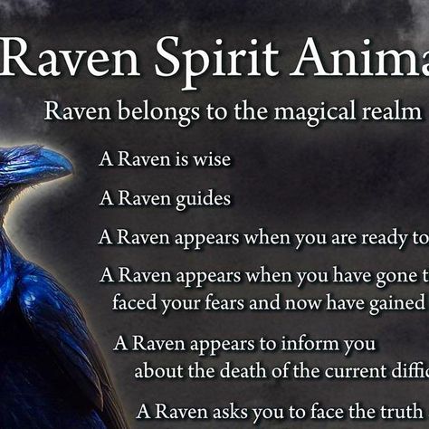 Margaret Jamison on Instagram: "It’s only when I’m able to head east up towards the Sierras that I once again experience Raven magick. They are very special to me. Now that I live in downtown Fresno I rarely see crows as well. So I know something’s up when I do see one." Raven Animal, Raven Spirit Animal, Crow Totem, Pagan Life, Raven Witch, Celtic Paganism, Animal Spirit Guide, Animal Spirit Guides, Animal Symbolism