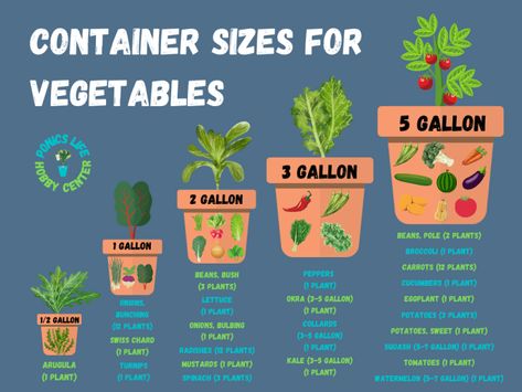 Vegetable Container Size Standards (With Chart) - Ponics Life Tips For Growing Vegetables, Homestead Wife, Garden Ideas For Beginners, Balcony Garden Ideas, Vegetable Garden Planning, Vegetable Garden Diy, Thriving Garden, Gardening 101, Veg Garden