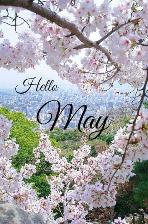 Hello May month may quotes hello may welcome may may images may image quotes Neuer Monat, Welcome May, Spring In Japan, Seasons Months, Days And Months, Hello May, Mors Dag, Seasons Of The Year, New Month