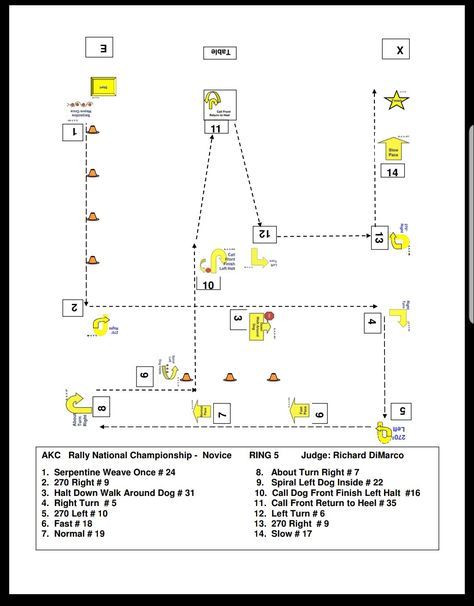 Building A Dog Agility Course, Puppy Agility Training, Dog Rally Courses, Dog Agility Course Maps, Dog Training Agility, Rally Obedience, Dog Training Obedience Teaching, Dog Sports, Dog Fun