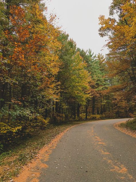 Small Town Woods Aesthetic, Small Town Autumn, Small Town Aesthetic Fall, Fall Road Wallpaper, Fall Trees Aesthetic, Small Town Aesthetic Fall Dark, Wisconsin Fall, Fall Trees, Up North