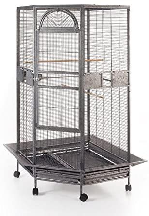 Amazon.com : Flyline Parrot Escape Jumbo Corner Bird Cage Aviary (Small) : Pet Supplies Budgies Parrot, Bird Cage Design, Large Bird Cages, Chicken For Dogs, Bird Parrot, Bird Aviary, Parrot Cage, Bird Supplies, Parrot Bird