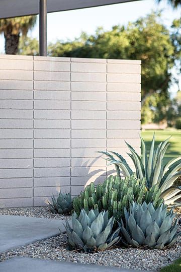 Palm Springs Home Decor Garden Architecture Palm Springs Home Decor, Palm Springs Backyard, Palm Springs Landscaping, Palm Springs Garden, Cactus Garden Design, Architecture Simple, Succulent Landscape, Palm Springs Pool, Palm Springs Architecture