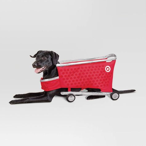 Flaunt your favorite shopping spot by dressing your pet in the Target Shopping Cart Cat and Dog Full Body Costume from Hyde & EEK! Boutique™ for Halloween. Designed in the shape of a shopping cart, this red full-body costume is made with soft fabric for comfortable wear, and features a hook-and-loop closure for a secure fit around their body. Hyde & EEK! Boutique™: Thrilling delights. Curious oddities. Target Dog Costume, Target Shopping Cart, Dog Costumes Halloween, Dog Costume Ideas, Halloween Costumes For Dogs, Best Dog Halloween Costumes, Costumes For Dogs, Halloween Dog Costume, Cute Dog Costumes