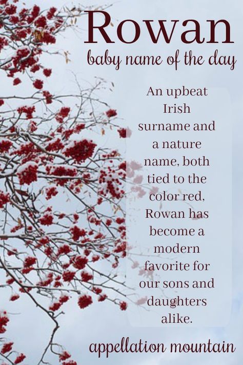 Rowan Name Meaning, Rowan Baby Name, Rowan Name, Best Girl Names, Names Aesthetic, Nature Names, Irish Surnames, Cool Boy Names, Traditional Baby Names