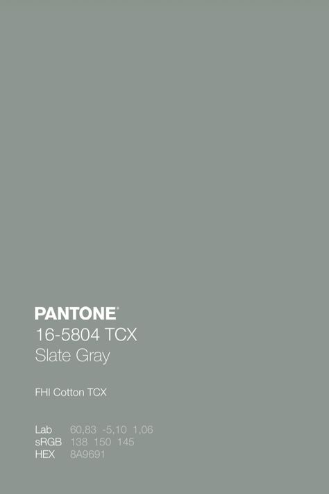 PANTONE 16-5804 TCX Slate Gray • Download Free Adobe Illustrator Palette in .ase • #pantone #pantonecolors #pantonecolours #colorcombos #pantone2020colortrend #colorswatches #colourswatches #colorscheme #colourscheme #colorpalette #colourpalette #colorcombinations #colorcombinations #fallcolor #fallcolours #autumncolorpalette #autumncolourpalette #pantonegray Neutral Pantone, Mood Boards Color, Pantone Tcx, Color Value, Pantone Color Chart, Pantone Palette, Pantone Colour Palettes, Brand Color Palette, Fall Color Palette