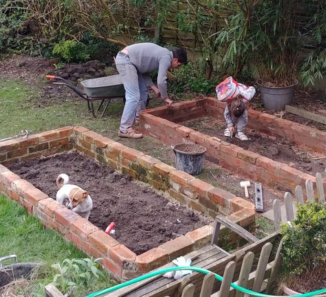 Shallow Raised Garden Beds, Raised Cut Flower Garden, Raised Brick Garden Beds, Cut Flower Raised Bed, Raised Bed Cut Flower Garden, Raised Cut Flower Beds, Flowers In Raised Beds, Small Cut Flower Garden, Raised Flower Garden