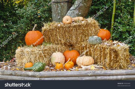 Haybale Fall Decor, Fall Hay Bale Decor, Fall Displays Outdoor, Fall Photo Booth Ideas, Hay Bales And Pumpkins, Hay Bale Fall Decor, Hay Bale Decor, Bail Of Hay, Hay Bale Decorations