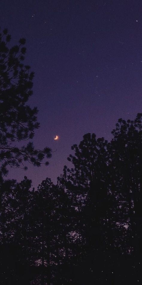 The Night Sky, Stars And Moon, Night Sky, The Moon, Trees, Moon, Stars, Purple