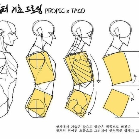 Taco Drawing, Make Drawing, Illustration Tumblr, How To Draw Manga, Draw Manga, Anatomy Tutorial, Human Anatomy Drawing, Anatomy Sketches, Body Reference Drawing