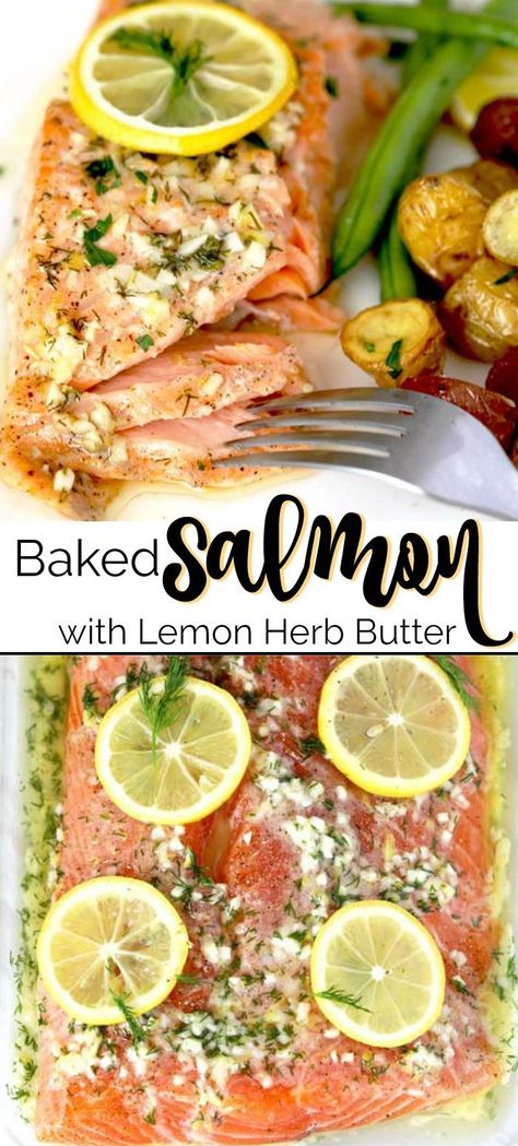 Salmon Recipes Lemon, Lemon Crusted Salmon, Salmon Recipes Baked With Dill, Garlic Lemon Salmon, Lemon Garlic Salmon Baked, Lemon Butter Salmon Baked, Dill Butter Salmon, Lemon Caper Salmon, Lemon Garlic Butter Salmon Baked