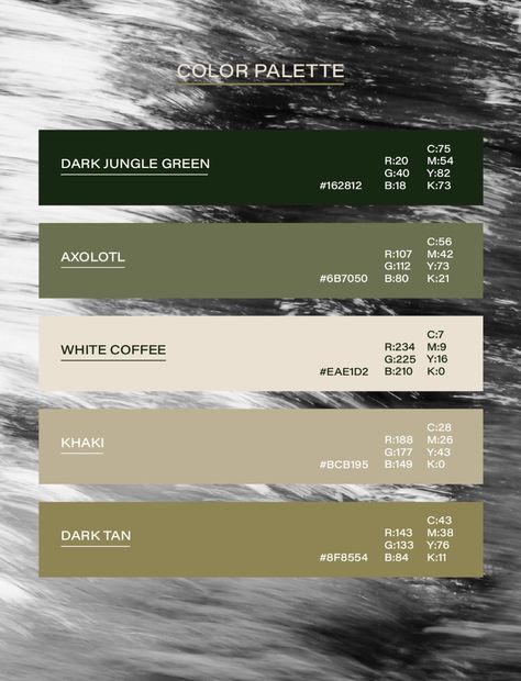 Minimalist Dark Green & White Coffee Color Palette graphicdesignart #logomark📌 Black White Green Color Scheme, Dark Green Color Code, Dark Green Branding Design, Forest Green Branding, Emerald Green Colour Palette, Black White Green Color Palette, Forest Green Color Combinations, Green Branding Color Palette, Minimalist Logo Design Identity Branding