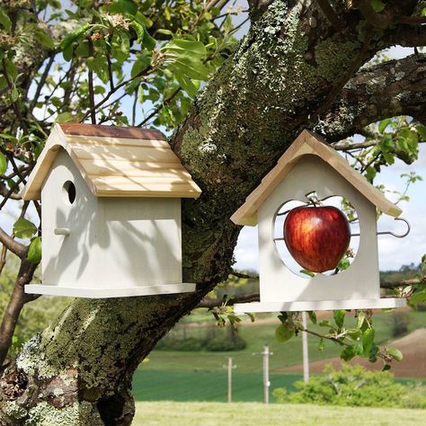 Are you interested in our Birdfeeder? With our Birdhouses you need look no further. Bird Feeding Table, Plant Theatre, Bird Nesting Box, Bird Feeder Plans, Bird Tables, Homemade Bird Feeders, Timber Roof, Bird Box, Nesting Box