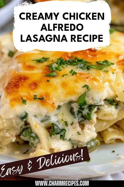 Christmas Eve Chicken Alfredo Lasagna, Easy Chicken Alfredo Lasagna Recipe, White Sauce For Lasagna, White Chicken Alfredo Lasagna, Lasagna With Alfredo Sauce, Chicken Alfredo Spinach, Easy Chicken Lasagna Recipe, Alfredo Lasagna Recipe, Creamy Chicken Lasagna