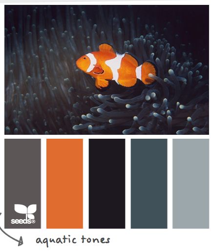 Aquatic Tones #designseeds Color Concept, Bathroom Paint Colors, Clownfish, Orange Paint, Orange Design, Color Palate, Design Seeds, Paint Palette, Colour Board