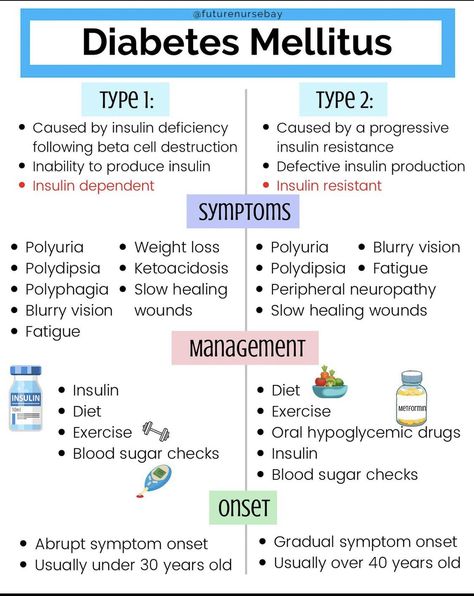 Digestion System, Nursing School Studying Cheat Sheets, Medical Terminology Study, Nursing School Inspiration, Medical Assistant Student, Nursing School Essential, Nursing School Motivation, Medical School Life, Nurse Study Notes