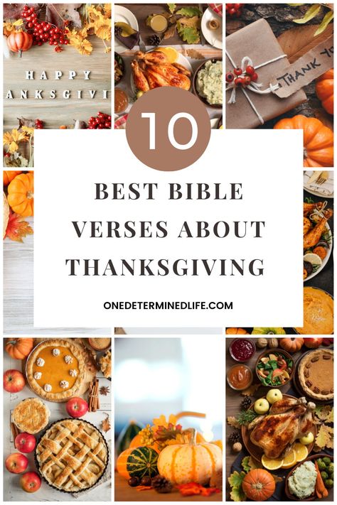 Thanksgiving is right around the corner. It’s a perfect time of year to take some time and thank God for all the things He has done, for who He is, and what He has given us. To help us do that, today I share with you 10 Best Bible Verses about Thanksgiving. Bible Verses About Thanksgiving, Bible Verse Thanksgiving, Thankful Verses, Thankful Bible Verses, Thanksgiving Verses, Thanksgiving Devotions, Thanksgiving Bible Verses, Year Bible Reading Plan, Psalm 116