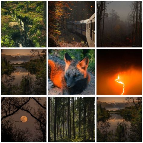 Cross Fox Aesthetic, Kitsune Moodboard, Minecraft Moodboard, Fall Mood Board Aesthetic, Fox Moodboard, Collage Themes, Cross Fox, Celtic Fairy, Oc Template