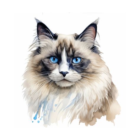 "Ragdoll cat watercolor painting printable wall art INSTANT DOWNLOAD: The files will be delivered electronically within minutes of your order and payment. An email will be sent to the address you have associated with your Etsy account with a link for your download.. Your files will be available to download here: http://www.etsy.com/your/purchases as soon as you complete your purchase. WHAT YOU GET: This listing  includes 5 PDF high-resolution 300 DPI with different ratio sizes for printing FILE Cat Wall Decor, Wall Art Cat, Cat Watercolor, Painting Printable, Cat Artwork, Watercolor Cat, Art Cat, Ragdoll Cat, Dog Paintings