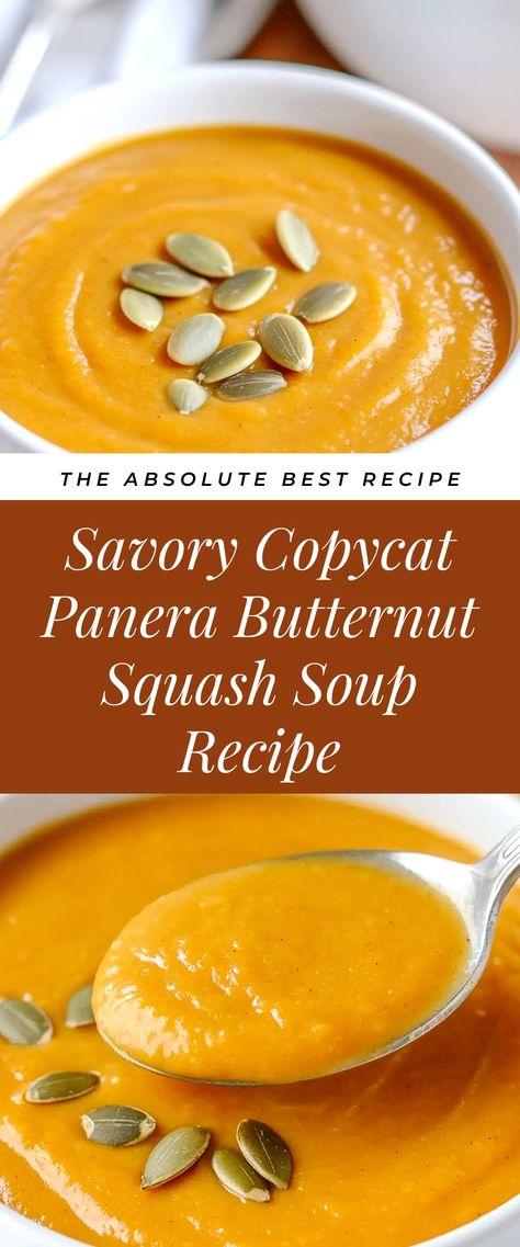 Image for Savory Copycat Panera Butternut Squash Soup Recipe Panera Copycat Butternut Squash Soup, Panara Bread Butternut Squash, Copycat Panera Butternut Squash Soup, Squash Soup Panera Copycat Recipes, Copycat Panera Squash Soup, Vitamix Butternut Squash Soup Recipe, Panera Butternut Squash Soup Recipe, Panera Autumn Squash Soup Recipe Copycat, Panera Bread Squash Soup Recipe