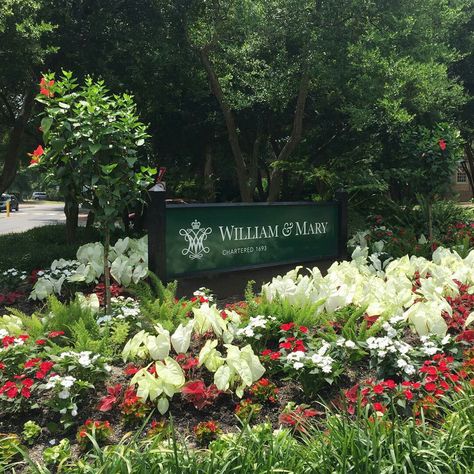 William and Mary, VA William And Mary Aesthetic, University Of Mary Washington, William And Mary College, Williams College Massachusetts, College Of William & Mary, Monthly Diary, St Mary’s College Of Maryland, Summer Moodboard, William & Mary