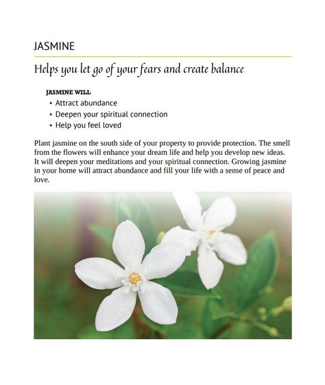 JASMINE WILL ⋆ Attract abundance ⋆ Deepen your spiritual connection ⋆ Help you feel loved Plant jasmine on the south side of your property to provide protection. The smell from the flowers will enhance your dream life and help you develop new ideas. It will deepen your meditations and your spiritual connection. Growing jasmine in your home will attract abundance and fill your life with a sense of peace and love. Jasmine Flower Symbolism, Plants For Home Protection Witchcraft, Jasmine Meaning Witchcraft, Flowers For Abundance, Jasmine Flower Spiritual Meaning, Jasmine Spiritual Meaning, How To Smell Like Jasmine Flowers, Jasmine Incense Meaning, Jasmine Flower Meaning