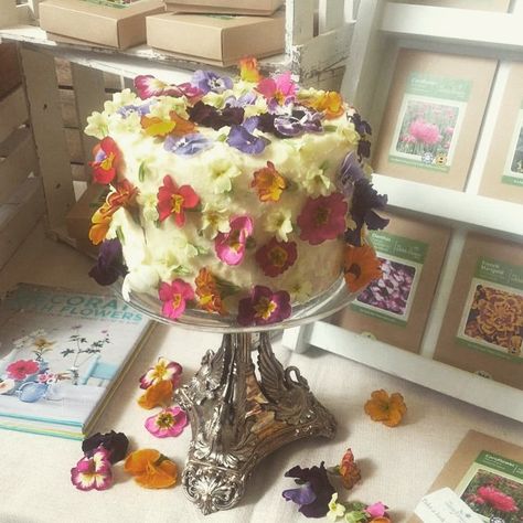 Lovely to see our edible flowers on the stand of @meadowinmygarden and @theedibleflowershop at @the ediblegardensho in London. If you are there visit stand 469 and tell Paul that he should be on @TheGreatBritishBakeOff! Botanical Cake, Wildflower Cake, Edible Flowers Cake, Flower Cake Decorations, Rectangle Cake, Petal Cake, Fruity Cake, Tea Food, Birthday Cake With Flowers