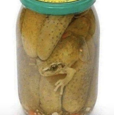 Frog Pictures Cute, Funny Frog Pictures, Frog Pics, Frog Food, Pet Frogs, Frog Pictures, Funny Frogs, Frog Art, 웃긴 사진