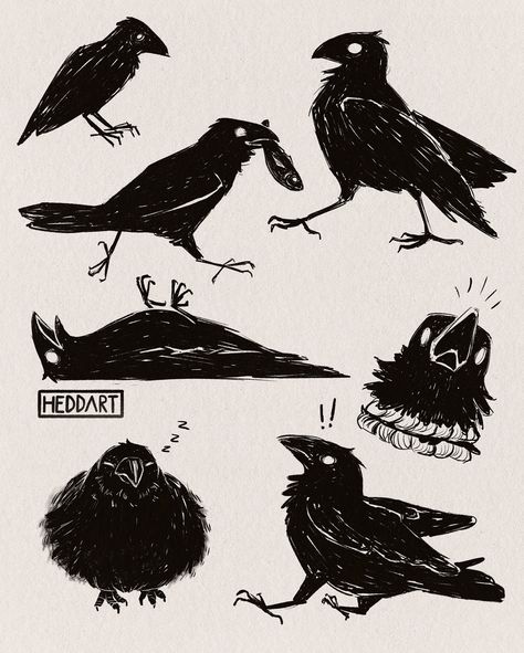 Silly corvid time 🐦‍⬛ ✨ #corvid #raven #crow #corvidart #sketchbook #procreate #birdart #sillybirds Crow Holding Something, Folk Art Crow, Crow Art Dark, Crow Drawing Simple, Crow Culture, Cute Crow Drawing, Crow Anatomy, Raven Vs Crow, Cute Crow Art