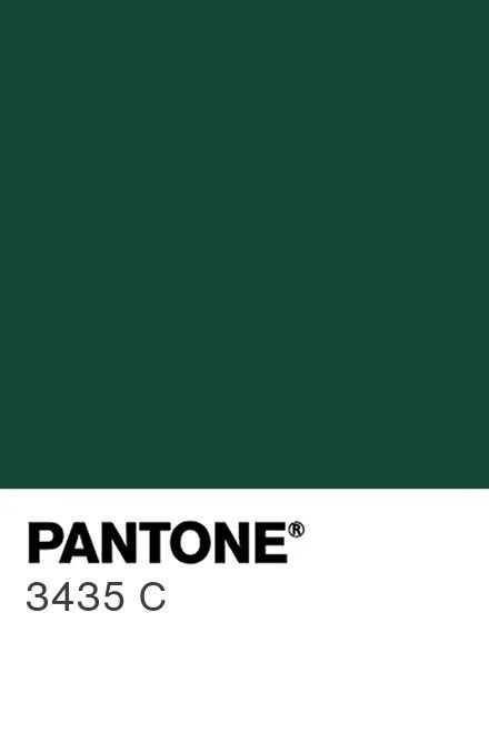 Emerald Green Pantone, Green Pantone, Green Forest, Pantone Color, Peppa Pig, Bedroom Makeover, Personal Branding, Emerald Green, Search Engine