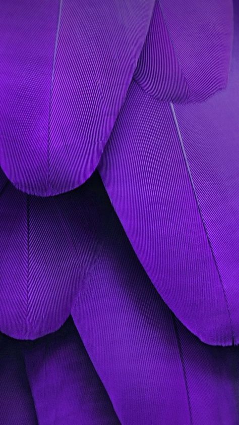 Ultra Violet | Colour Of The Year | Purple Ultraviolet Color, Feathers Wallpaper, Dream Inspiration, Pixel Wallpaper, Fruits Design, Portrait Makeup, Beach Mountain, Violet Aesthetic, City Summer