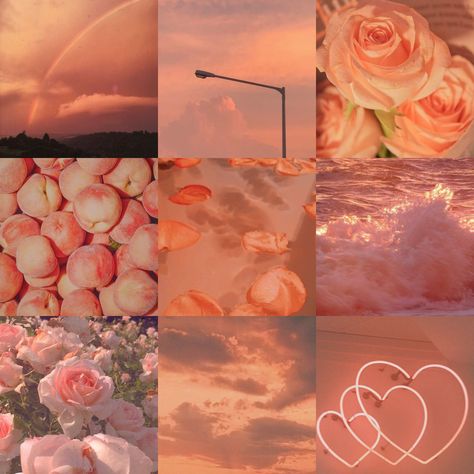 Orange Moodboard, Branding Mood Board Inspiration, Aesthetic Peach, Cut Flower Farm, Cupid Love, Make Your Own Character, Peach Aesthetic, Flower Theme, Branding Mood Board