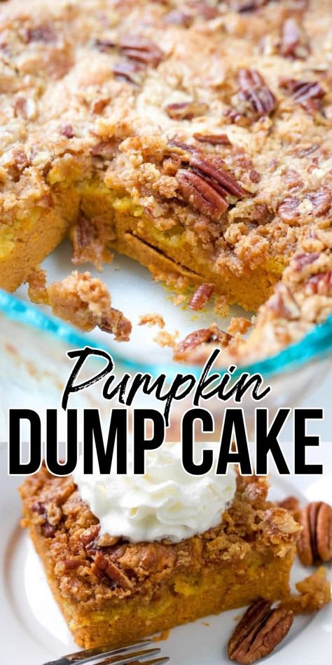 pumpkin dump cake on a plate Easy Pumpkin Dump Cake Recipe, Crunchy Cake, Easy Pumpkin Dump Cake, Pumpkin Dump Cake Recipe, Canned Pumpkin Recipes, Pumpkin Dump, Dump And Bake, Easy Pumpkin Dessert, Pumpkin Crunch Cake