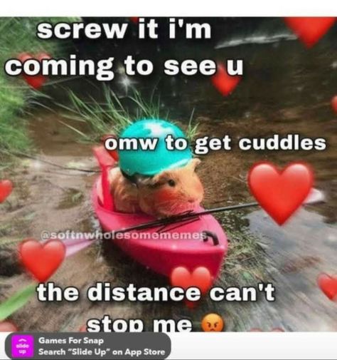 Cuddling Meme, Wholesome Pictures, Couple Memes, Cute Love Memes, Cute Texts For Him, I Love My Girlfriend, Cute Messages, Love My Boyfriend, Lovey Dovey