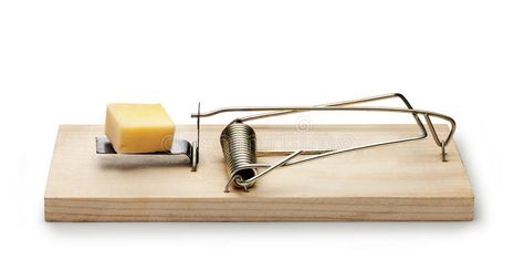 Mousetrap Cheese Trap. A mouse or rat trap with a piece of cheese for bait. Isol , #affiliate, #mouse, #rat, #Trap, #Mousetrap, #Cheese #ad Rat Trap, Mouse Trap, Rat Traps, Mouse Traps, Flat Icon, Ap Art, Rats, Old Fashioned, Royalty Free Stock Photos