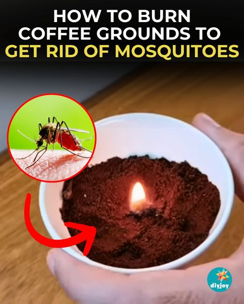 Coffee Grinds For Mosquitos, Coffe Candle Diy, Burn Coffee Grounds For Mosquito, Burning Coffee For Mosquitos, Coffee Grounds Mosquito Repellant, Coffee Grounds Candle, Get Rid Of Mosquitos, Fly Repellant Diy, Mosquito Repellent Candle