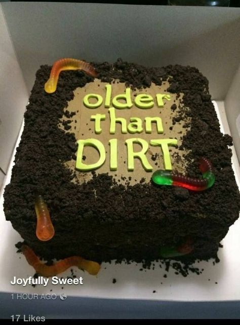 Older Than Dirt Cake Recipe, Birthday Cake For Women Funny, Older Than Dirt Cake, Older Than Dirt, Dirt Cake Recipes, Dirt Cake, Birthday Cakes For Her, Birthday Cakes For Teens, Pistachio Cake