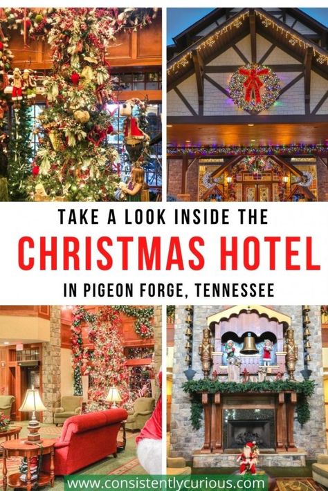 Christmas In The Mountains, Gatlinburg Christmas, Christmas Vacation Destinations, Christmas Hotel, Best Christmas Vacations, Christmas Vacation Party, Christmas Travel Destinations, Tennessee Christmas, Smokey Mountains Vacation