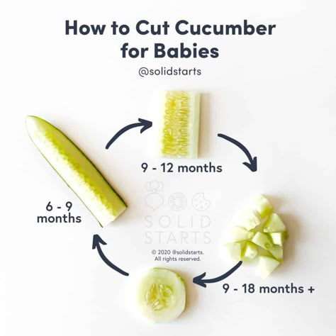 Cucumber for Babies - First Foods for Baby - Solid Starts Baby Weaning Foods, Solid Starts, Baby Led Weaning First Foods, Weaning Foods, Baby Led Feeding, Easy Baby Food Recipes, Baby & Toddler Food, Baby Led Weaning Recipes, Healthy Baby Food