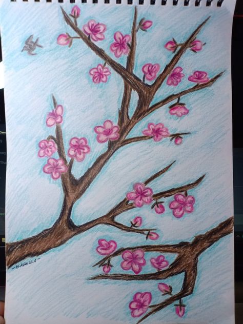 Cherry Blossoms inspired by the Arizona Green Tea Can. Colour pencil sketch. Cherry Blossom Colored Pencil, Cherry Blossom Drawing Pencil, Trees And Flowers Drawing, Spring Drawing Ideas Easy, Cherry Blossom Drawing Easy, Cherry Blossom Drawing Tree, Easy Cherry Blossom Drawing, Japanese Cherry Blossom Tree Drawing, How To Draw Cherry Blossoms