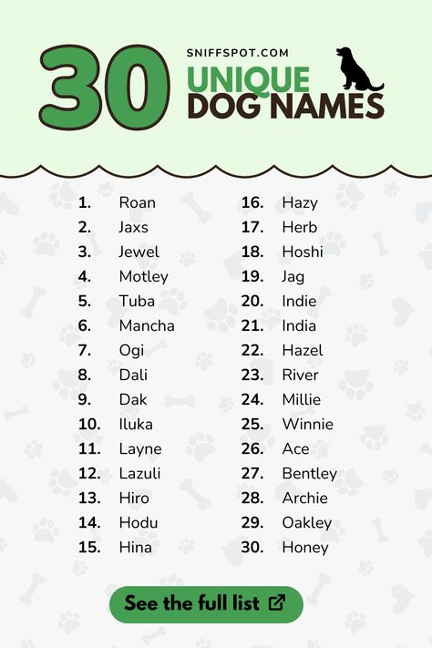 Stand out at the dog park! Discover truly unique dog names voted by pet parents. Perfect for pet parents wanting something different and special for their four-legged friend. #UniqueDogNames #DogNameIdeas #PuppyNames #DifferentDogNames Labrador Retriever Names, Husky Dog Names, Unique Dog Names, Dog Name Ideas, Indoor Dog Park, Popular Dog Names, Dog Names Unique, Canaan Dog, York Dog