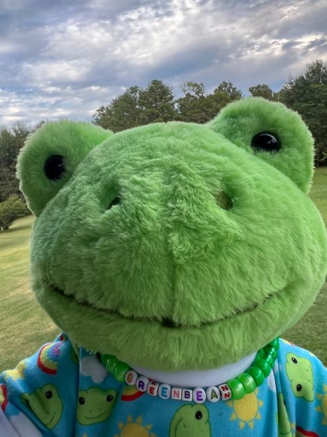 Build A Bear Frog Aesthetic Outfits, Pink Build A Bear Frog Aesthetic, Buildabear Frog Aesthetic, Build A Bear Frog Collection, Frog Teddy Aesthetic, Green Frog, Build A Bear, Cute Frogs, Gremlins