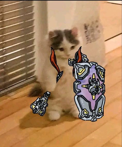 Overwatch Cat Icon, Silly Overwatch, Overwatch Matching Icons, Ow Pfp, Overwatch Pachimari, Overwatch Cats, Icons Cats, Overwatch Meme, Cute Cat Pfp